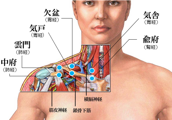 首 から 肩 にかけて の 痛み 左