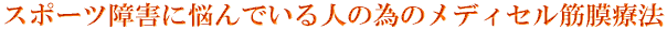 X|[cQɔYłlׂ̈̃fBZؖÖ@